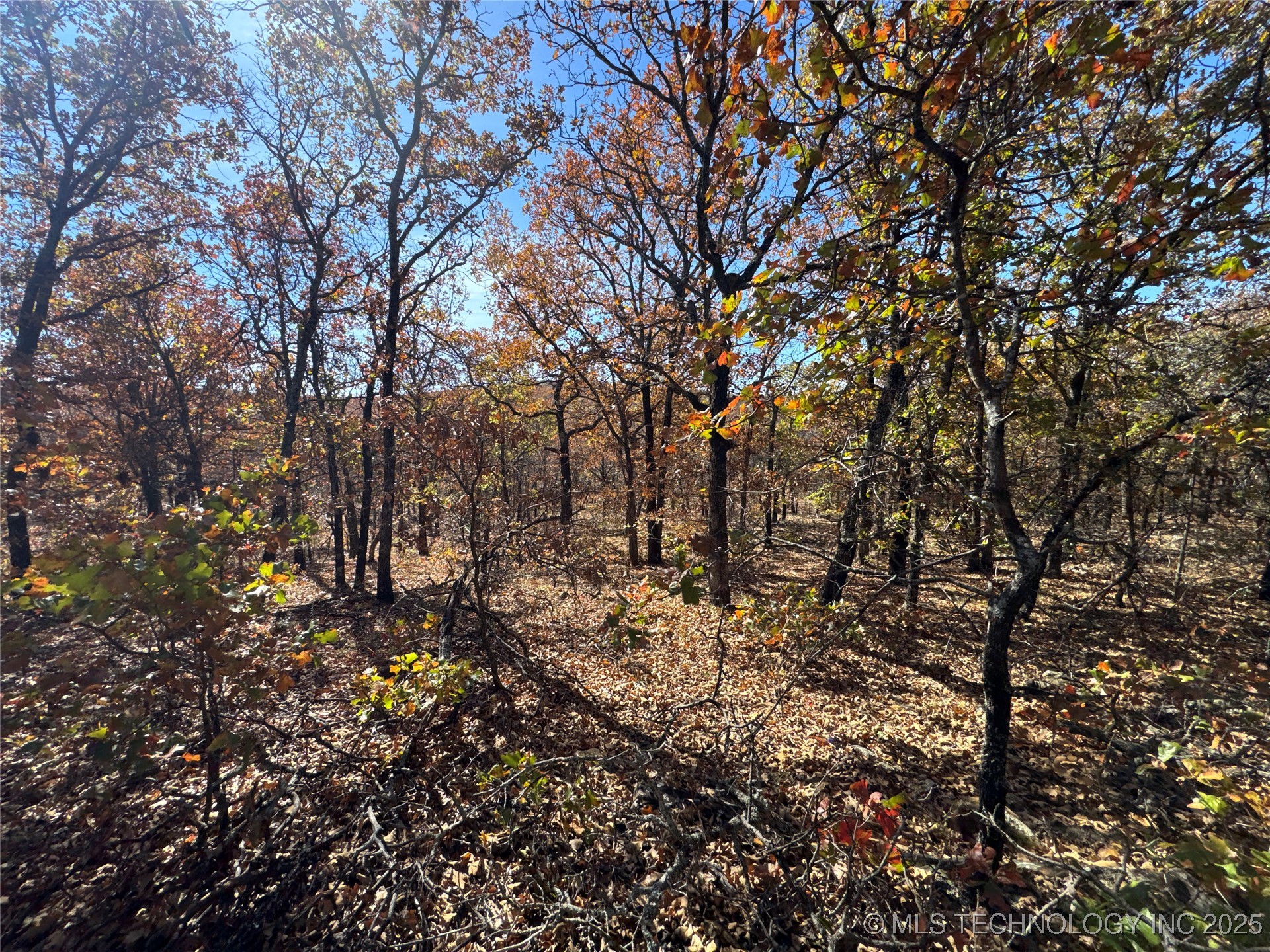 0000 S 209th Street S Property Photo 33