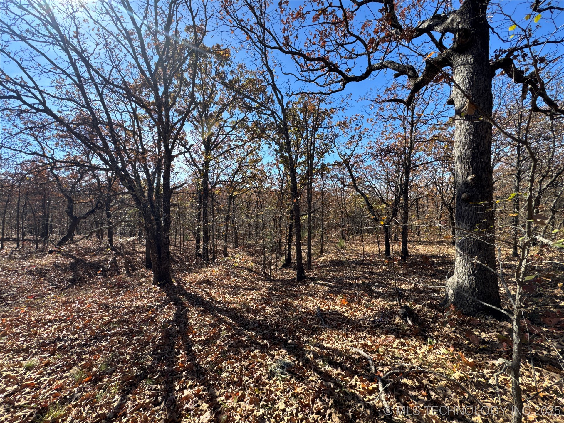 0000 S 209th Street S Property Photo 34