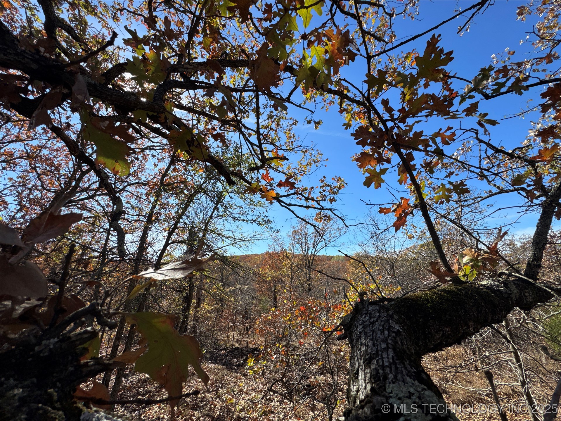 0000 S 209th Street S Property Photo 36