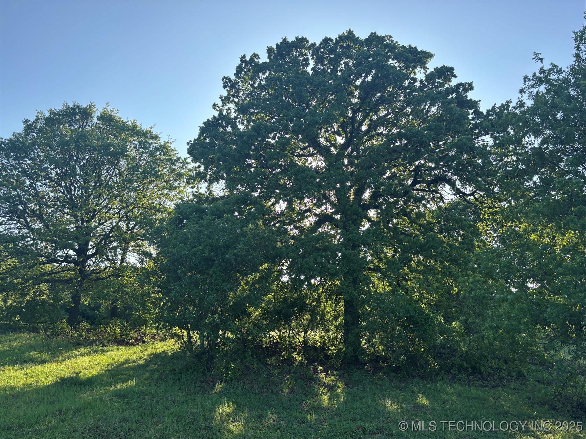 00 Highway 77 Property Photo 14