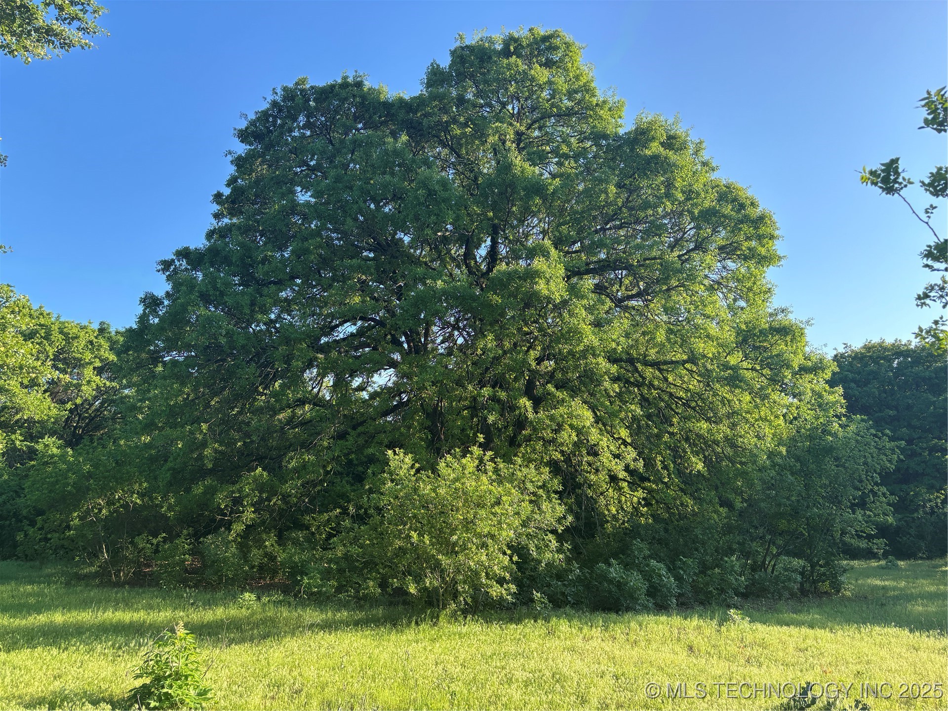 00 Highway 77 Property Photo 17