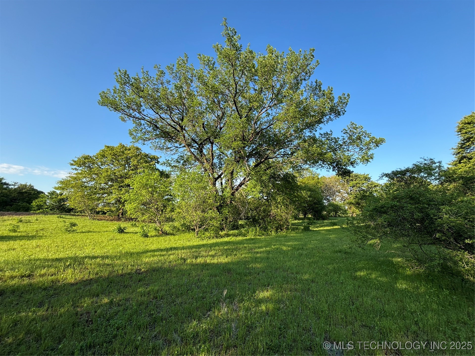 00 Highway 77 Property Photo 18