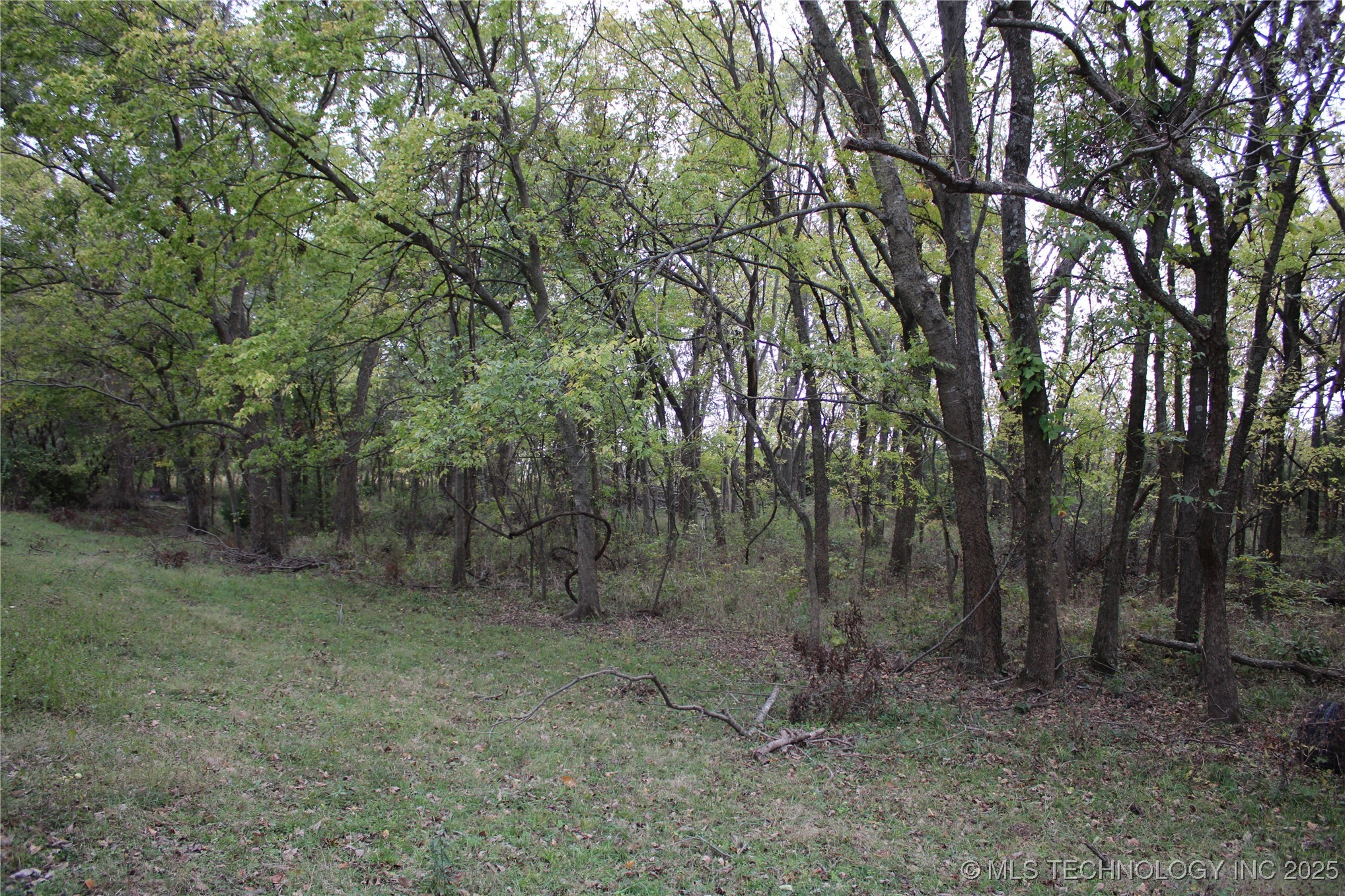 0000 Us Highway 75 Property Photo 23