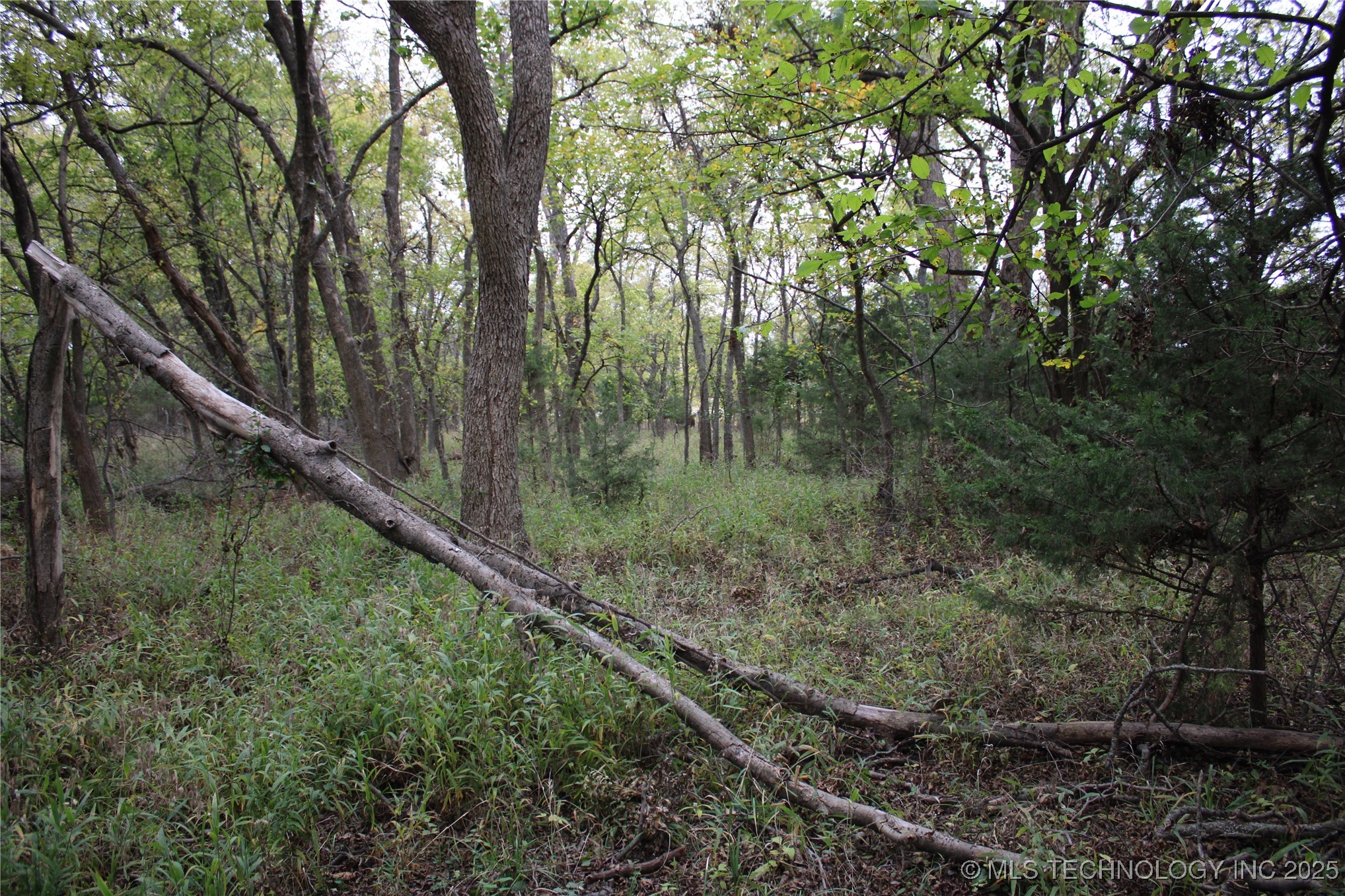 0000 Us Highway 75 Property Photo 35