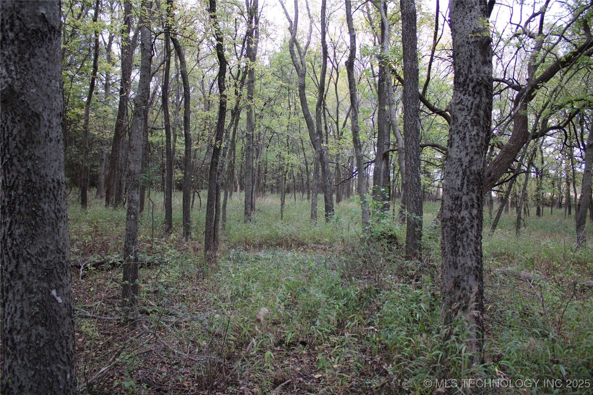 0000 Us Highway 75 Property Photo 36