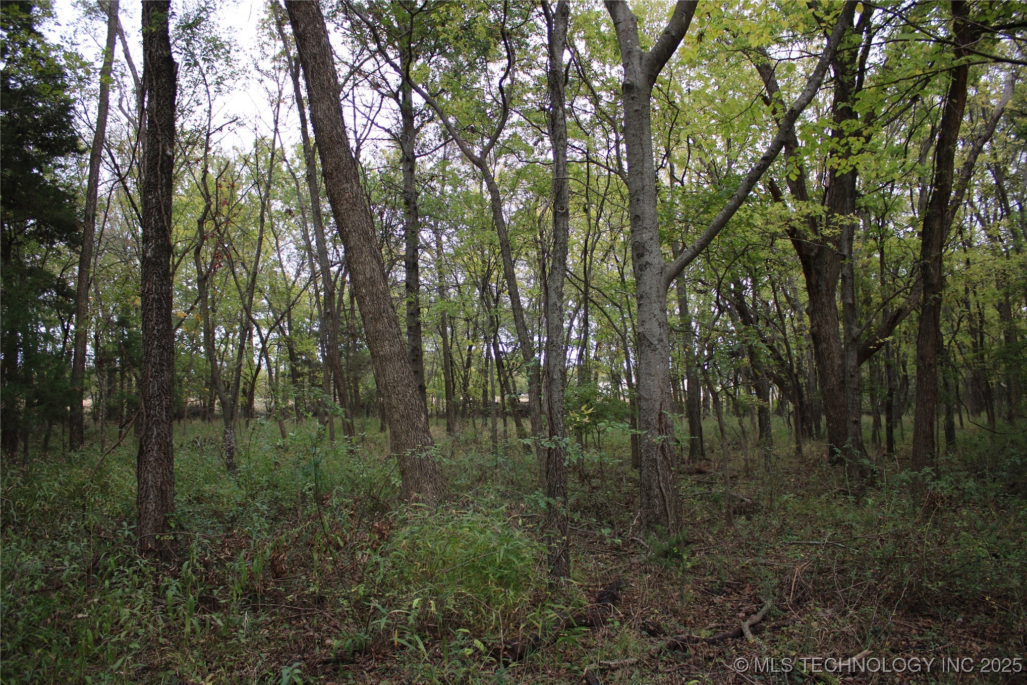 0000 Us Highway 75 Property Photo 37