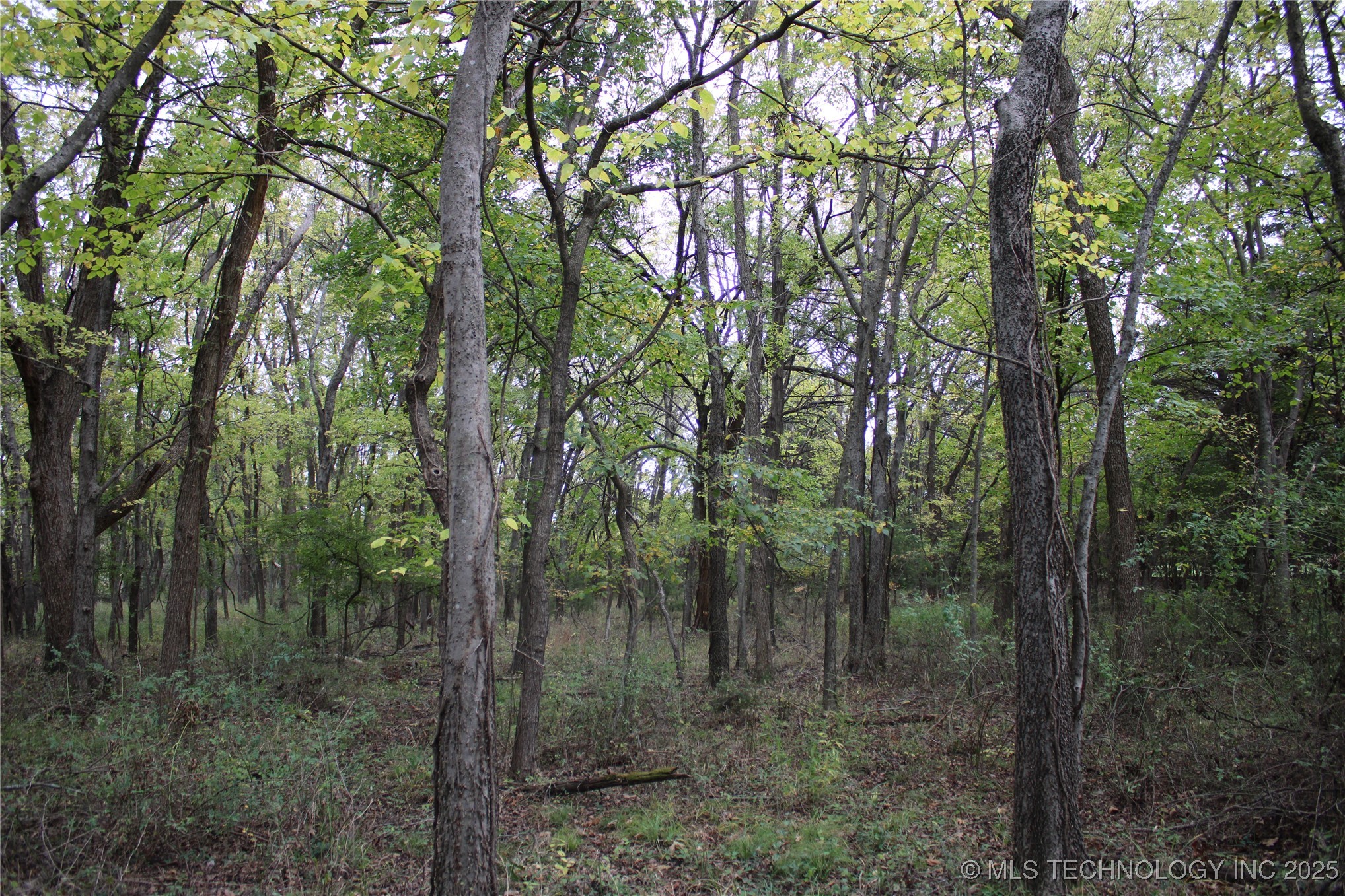 0000 Us Highway 75 Property Photo 38