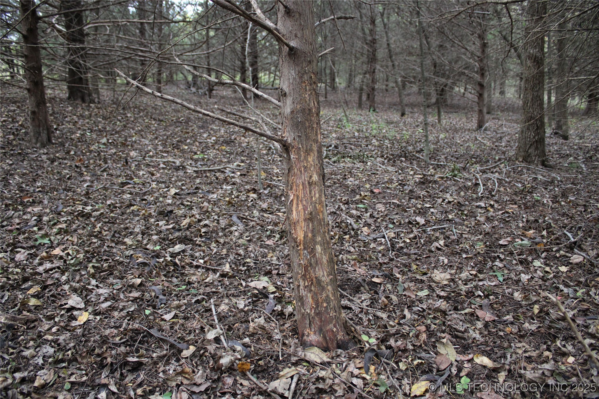 0000 Us Highway 75 Property Photo 39