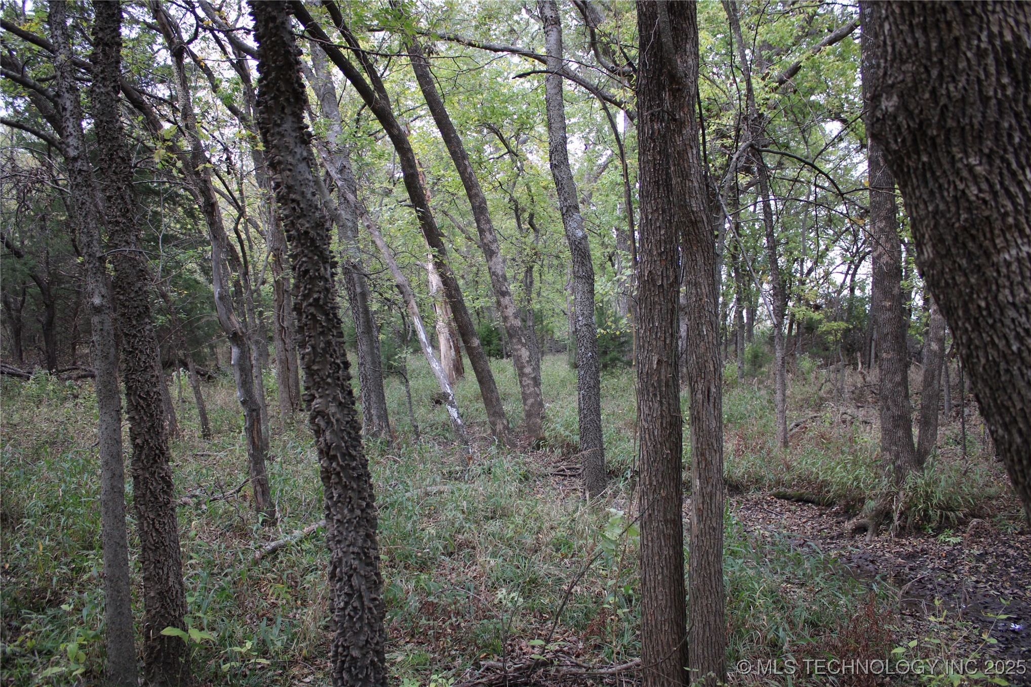 0000 Us Highway 75 Property Photo 40