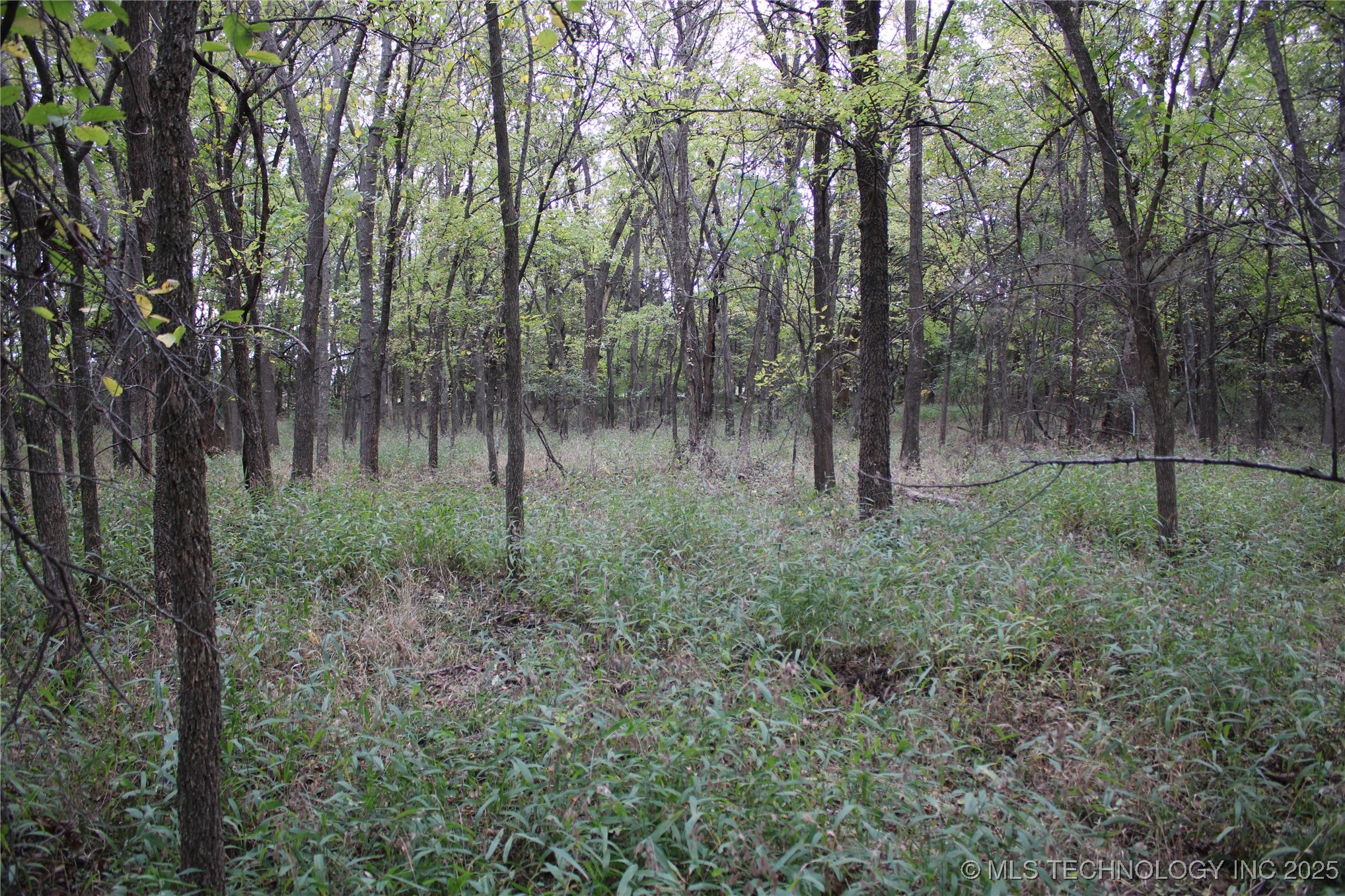 0000 Us Highway 75 Property Photo 41