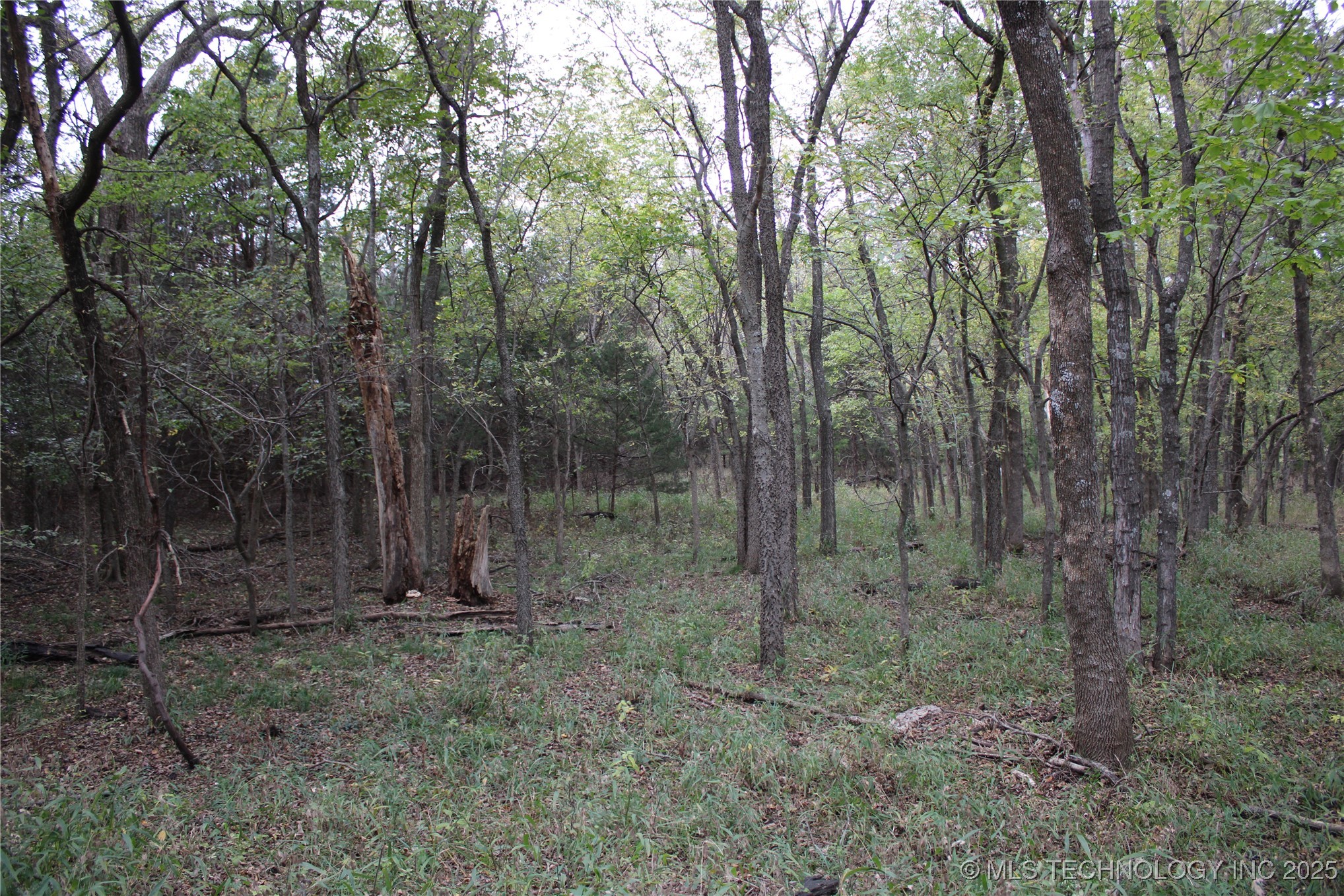 0000 Us Highway 75 Property Photo 42