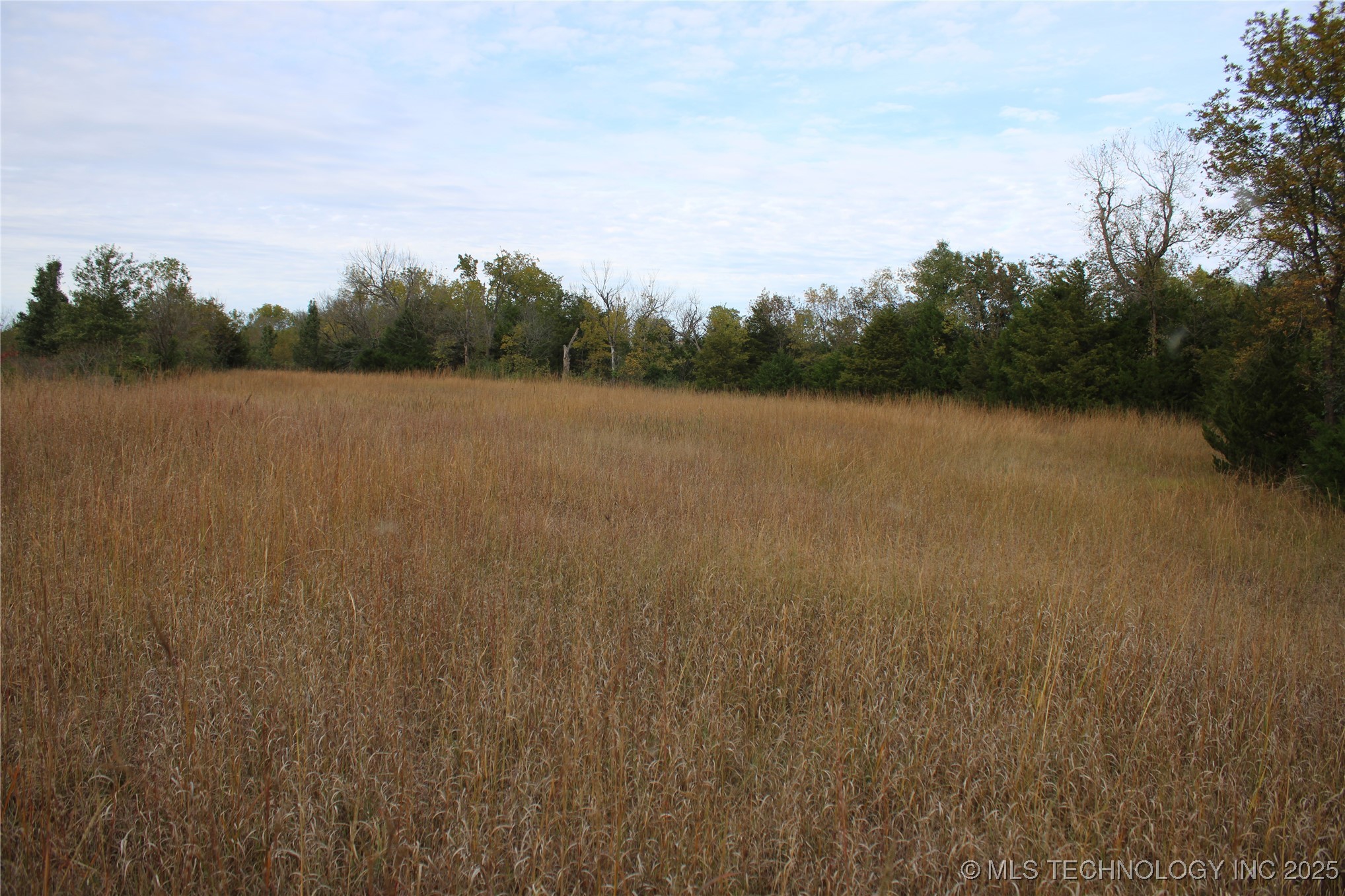 0000 Us Highway 75 Property Photo 48