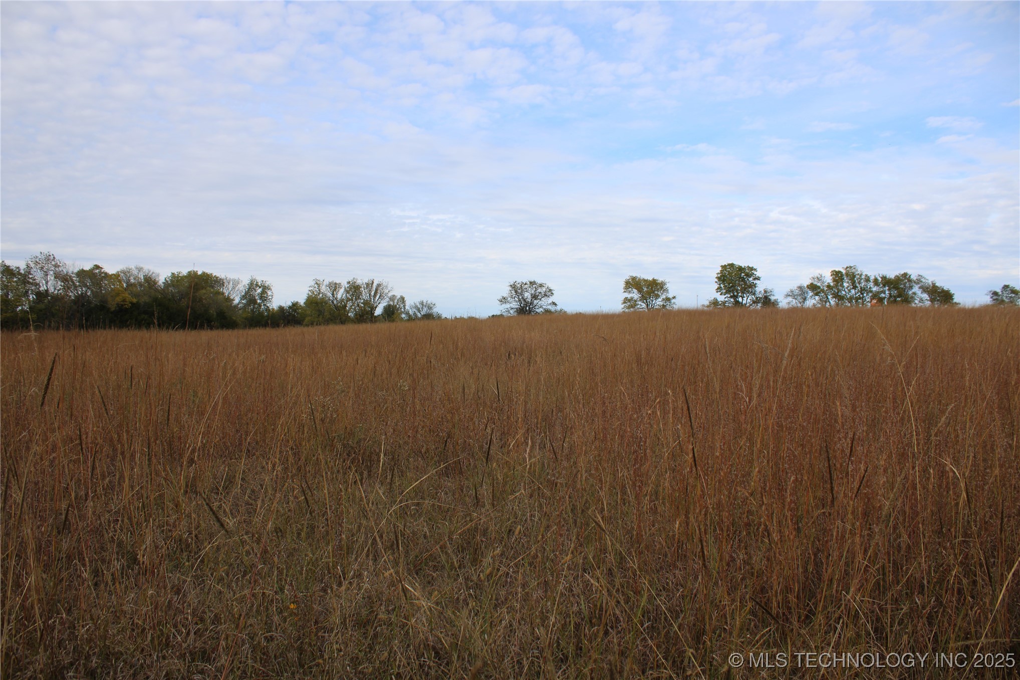 0000 Us Highway 75 Property Photo 50