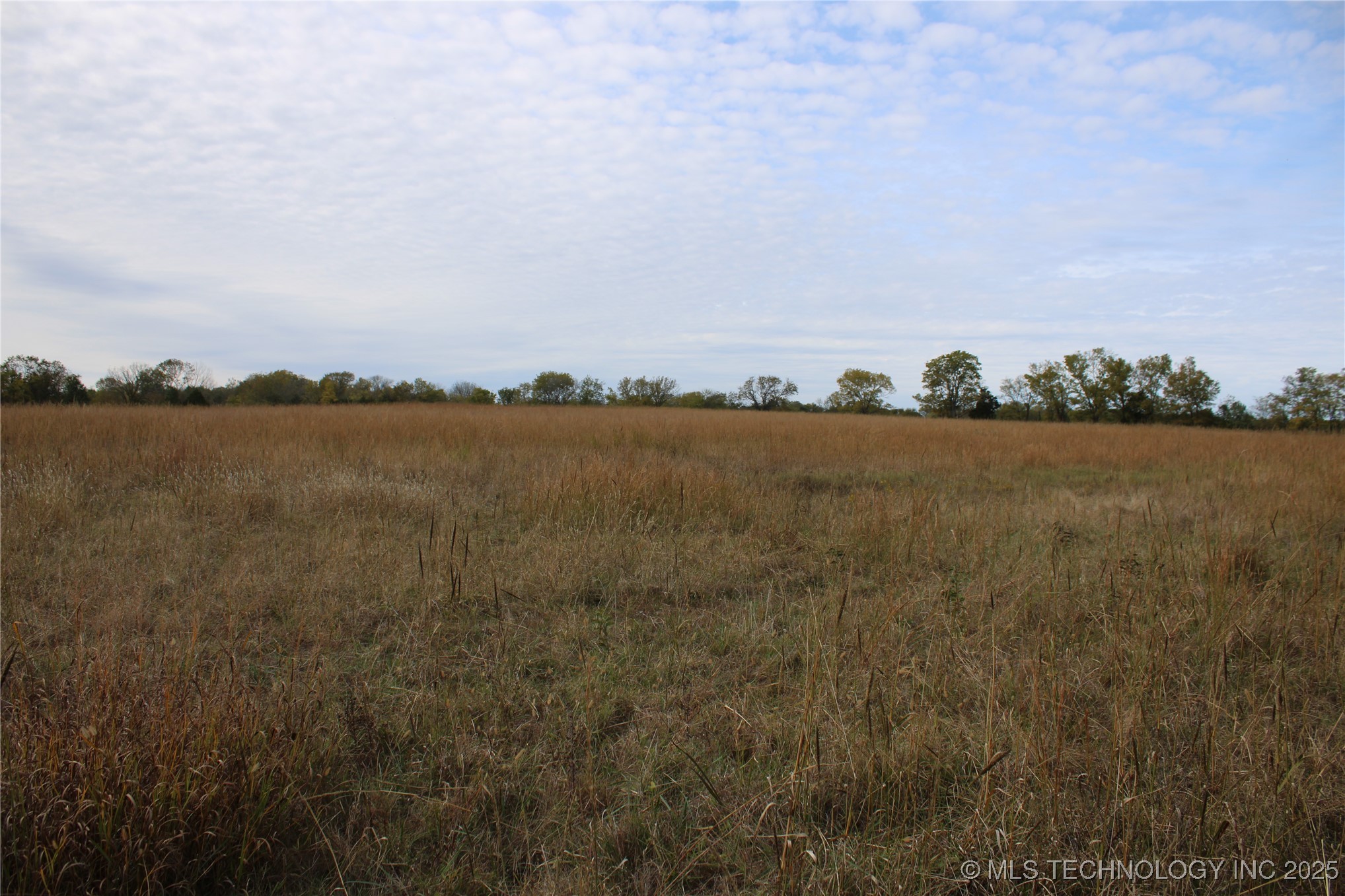 0000 Us Highway 75 Property Photo 53