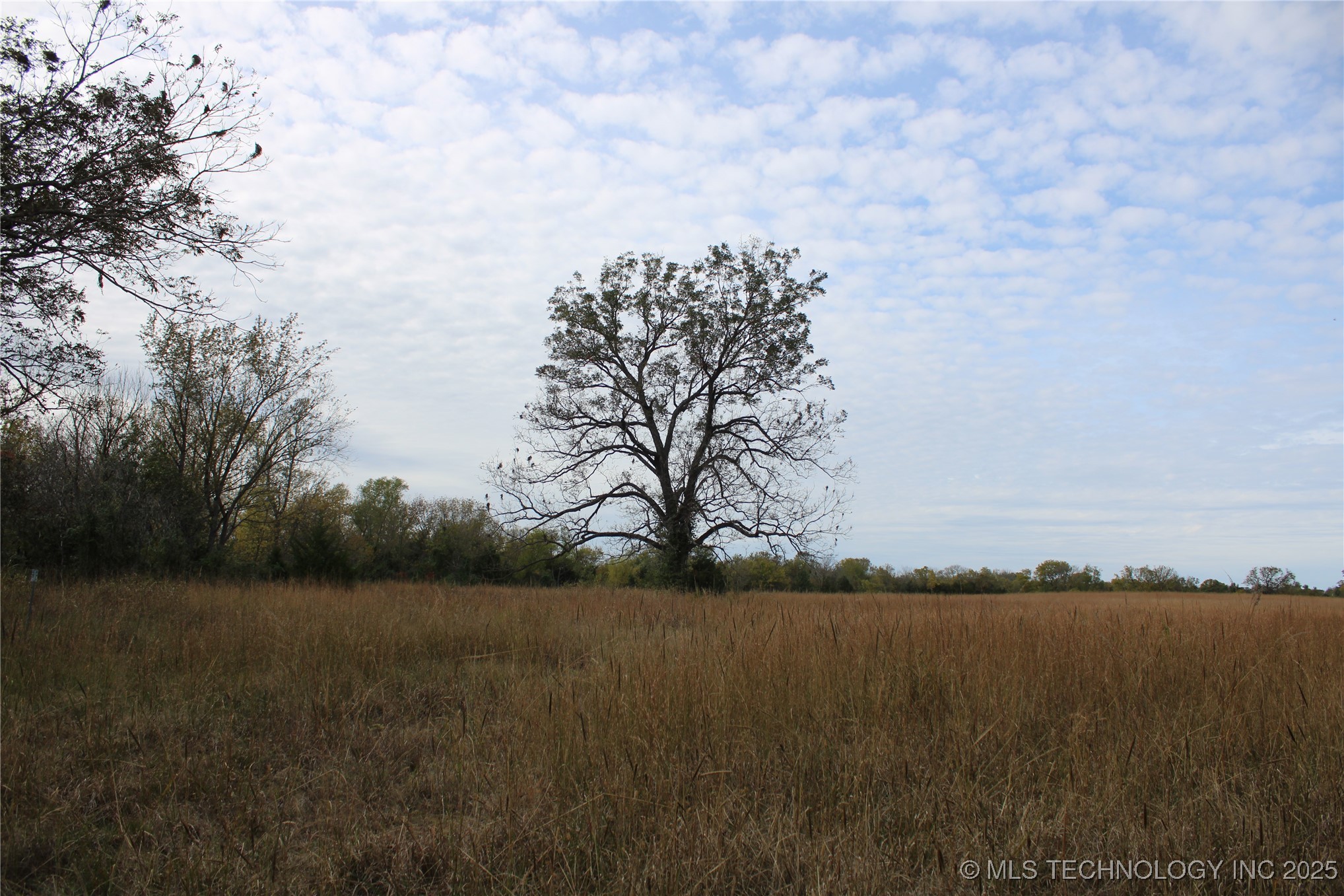 0000 Us Highway 75 Property Photo 54