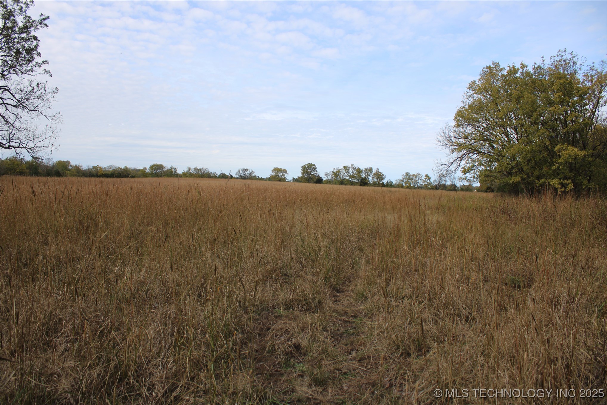 0000 Us Highway 75 Property Photo 55