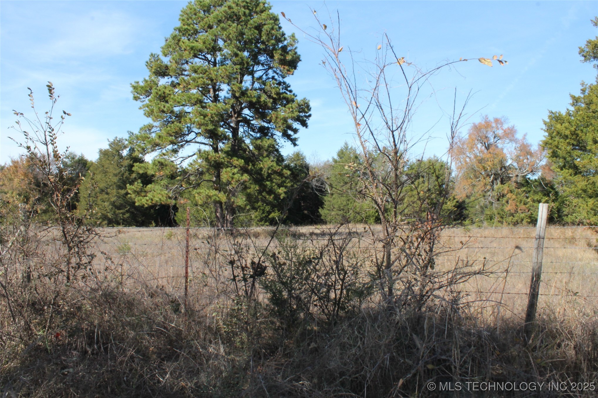 Bascum Road Property Photo 5