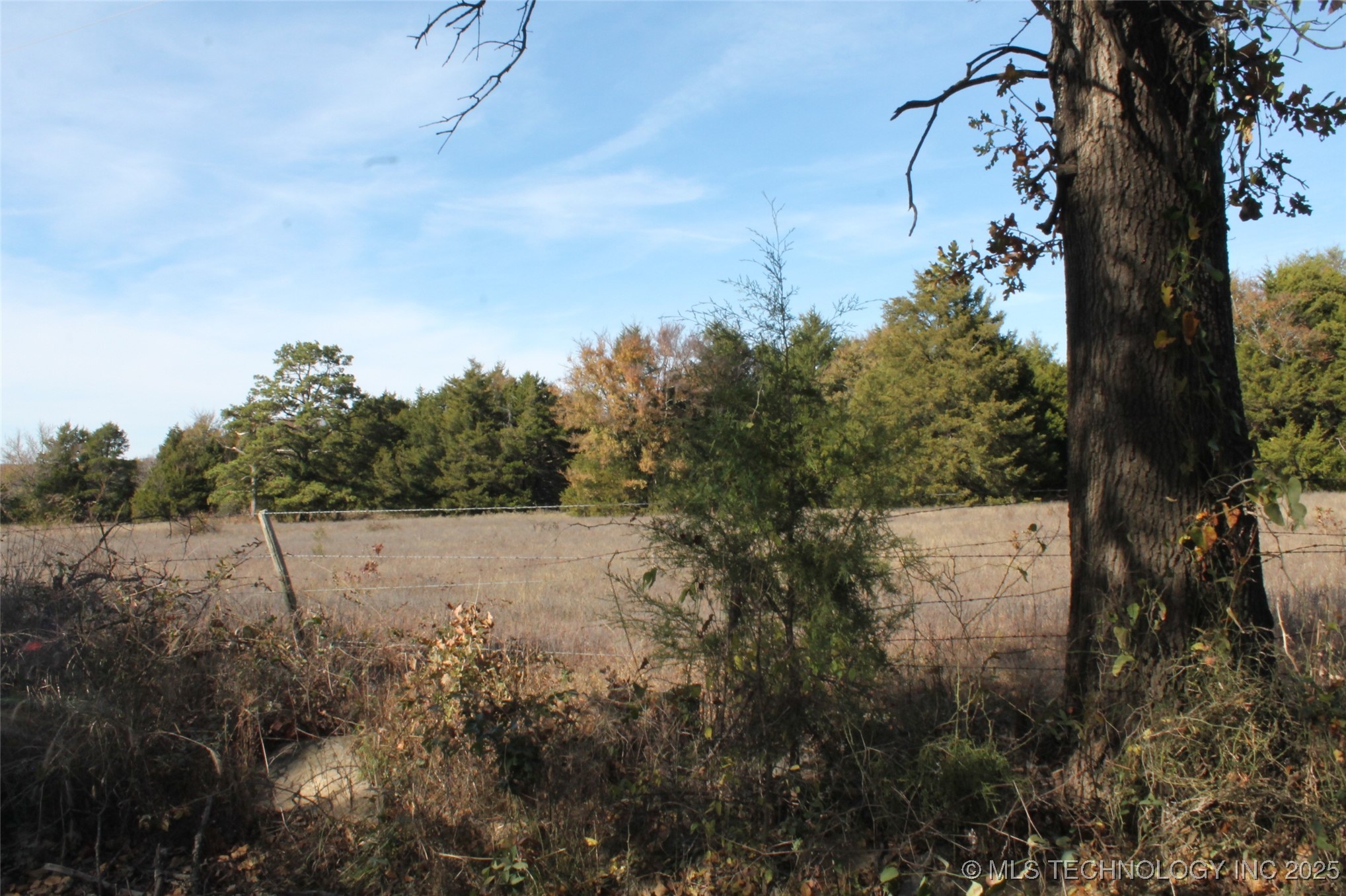 Bascum Road Property Photo 7