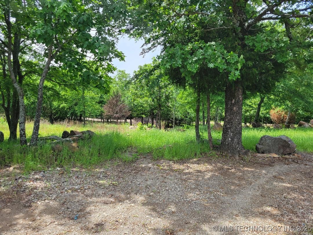 287 Nelson Property Photo 3