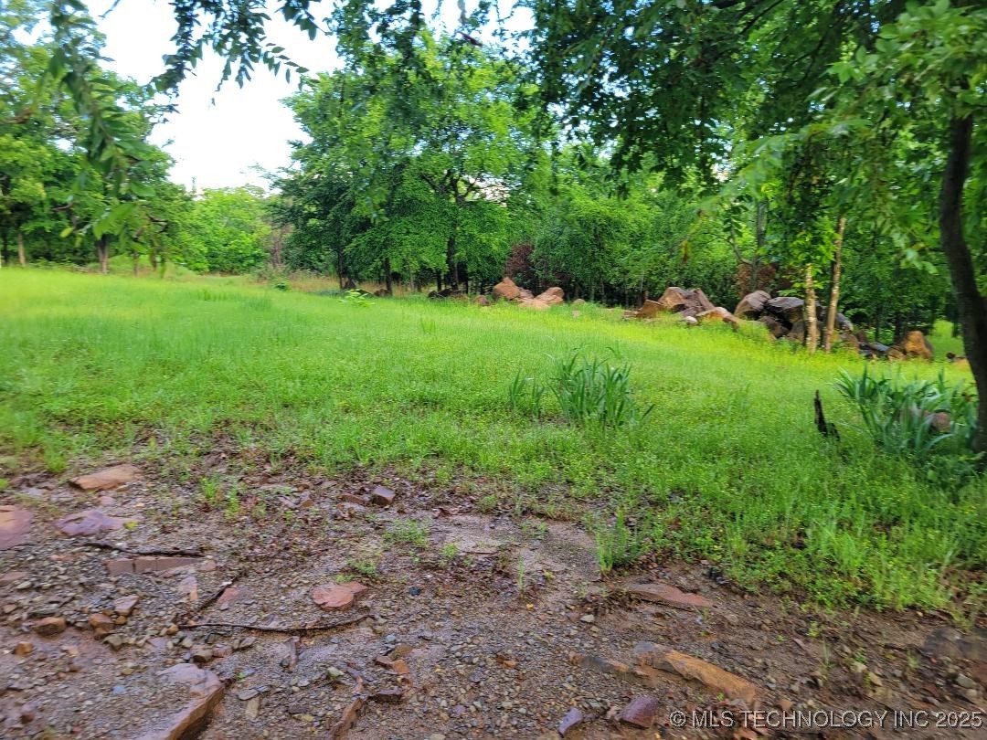 287 Nelson Property Photo 4