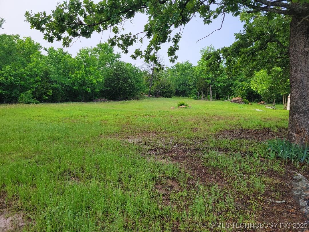 287 Nelson Property Photo 5