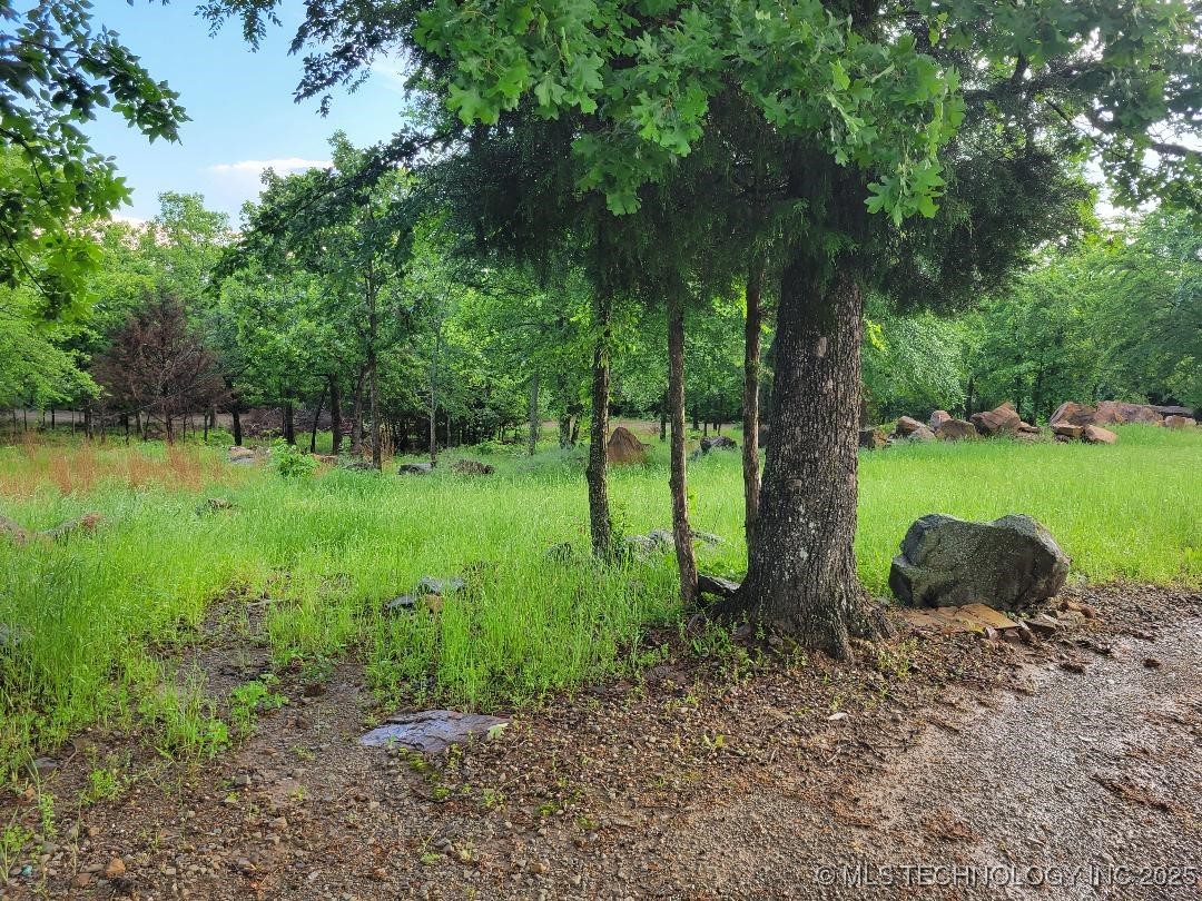 287 Nelson Property Photo 6