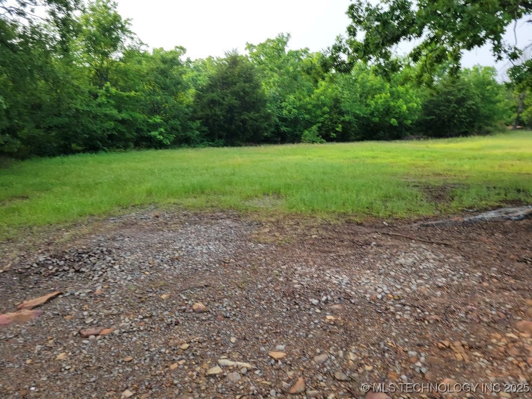 287 Nelson Property Photo 7