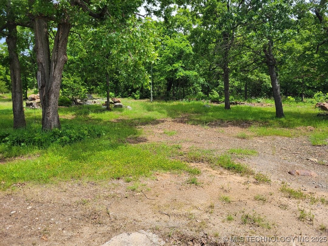 287 Nelson Property Photo 8