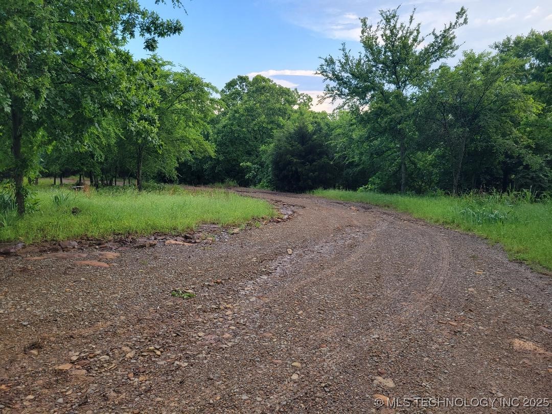 287 Nelson Property Photo 9