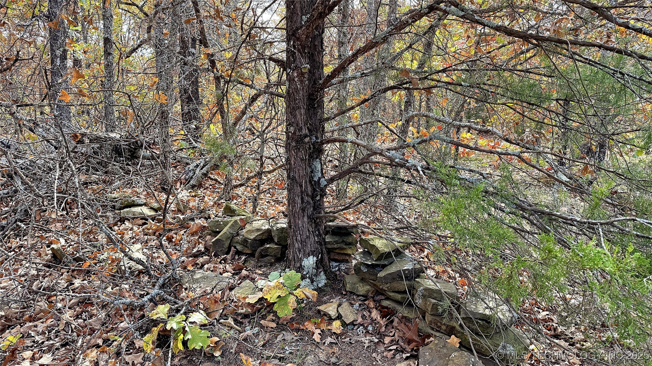 225 W Budinot Drive Property Photo 4