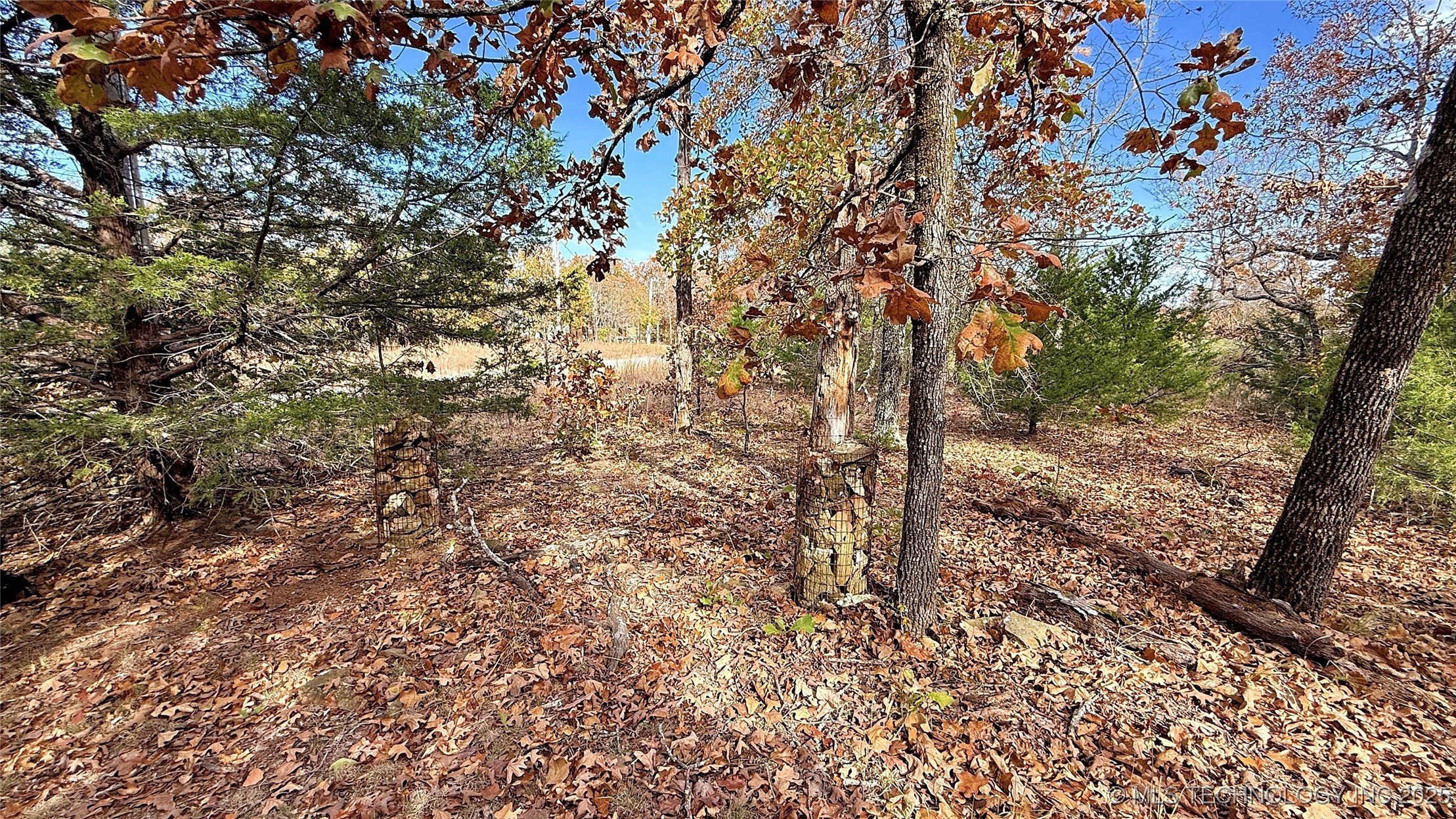 225 W Budinot Drive Property Photo 6