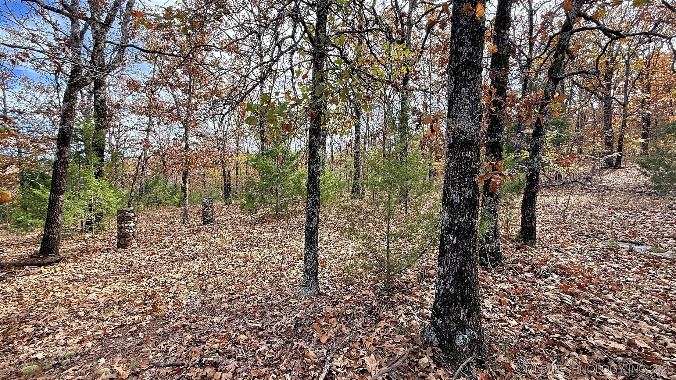 225 W Budinot Drive Property Photo 9