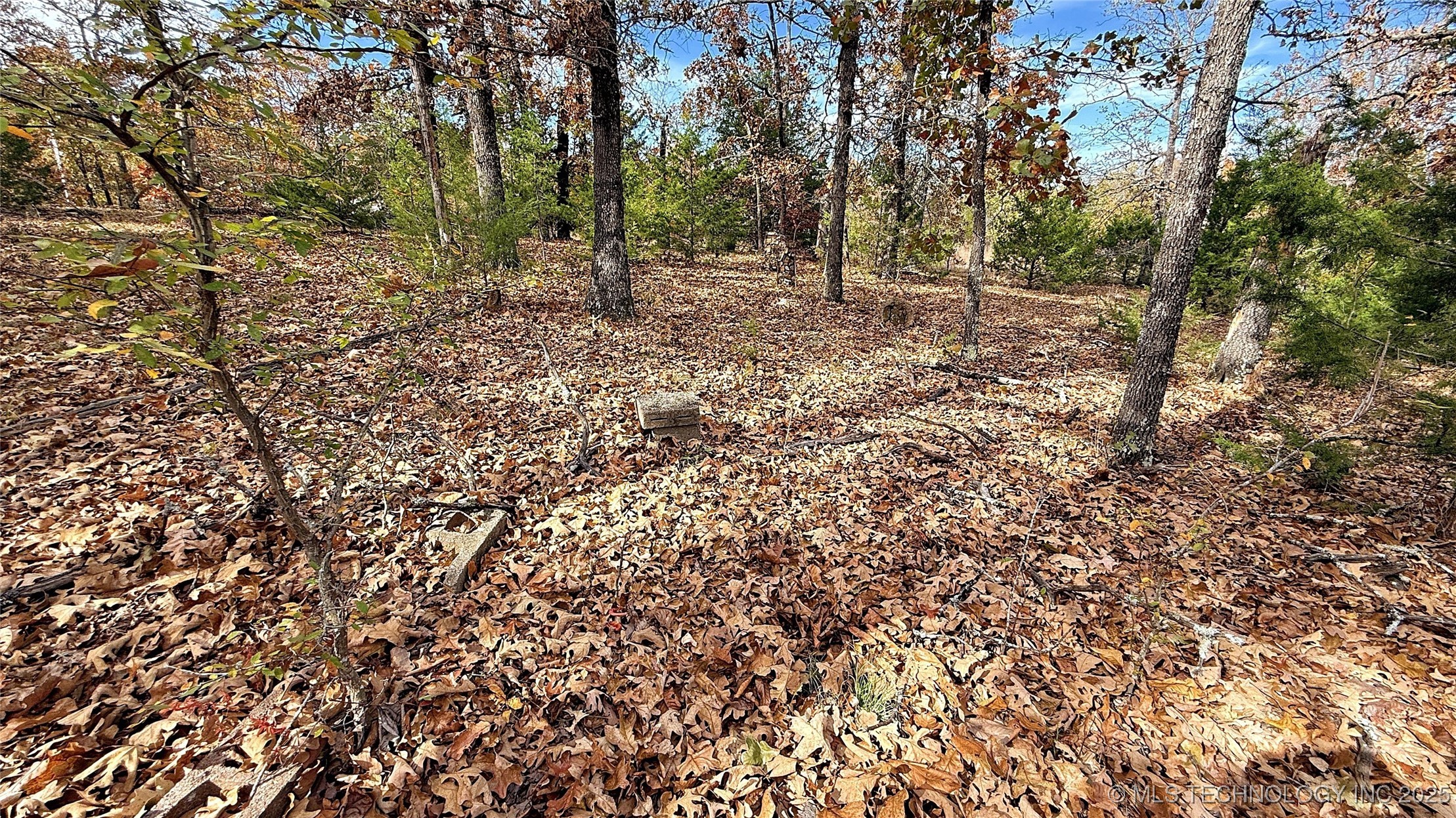 225 W Budinot Drive Property Photo 10