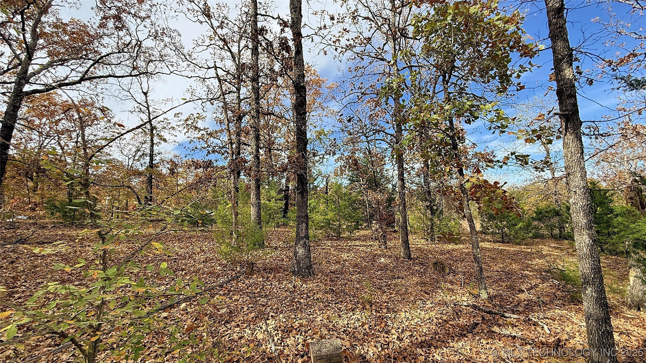 225 W Budinot Drive Property Photo 11