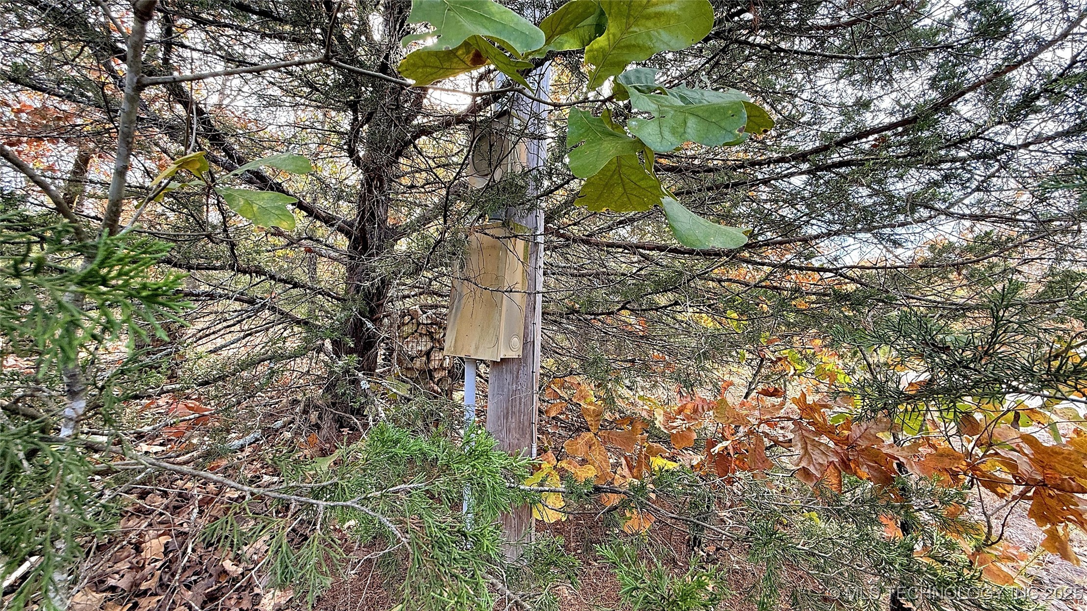 225 W Budinot Drive Property Photo 13