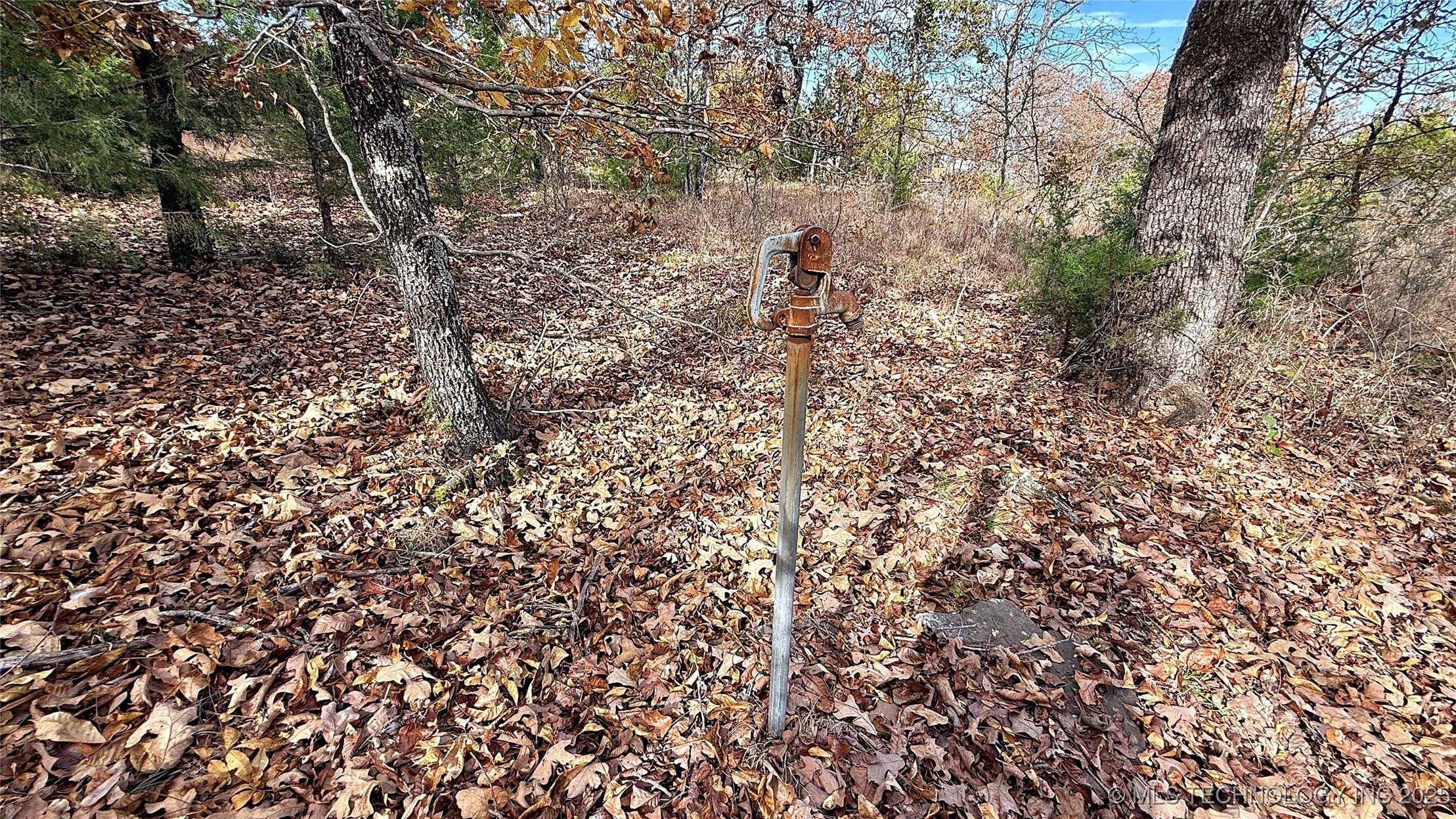 225 W Budinot Drive Property Photo 15