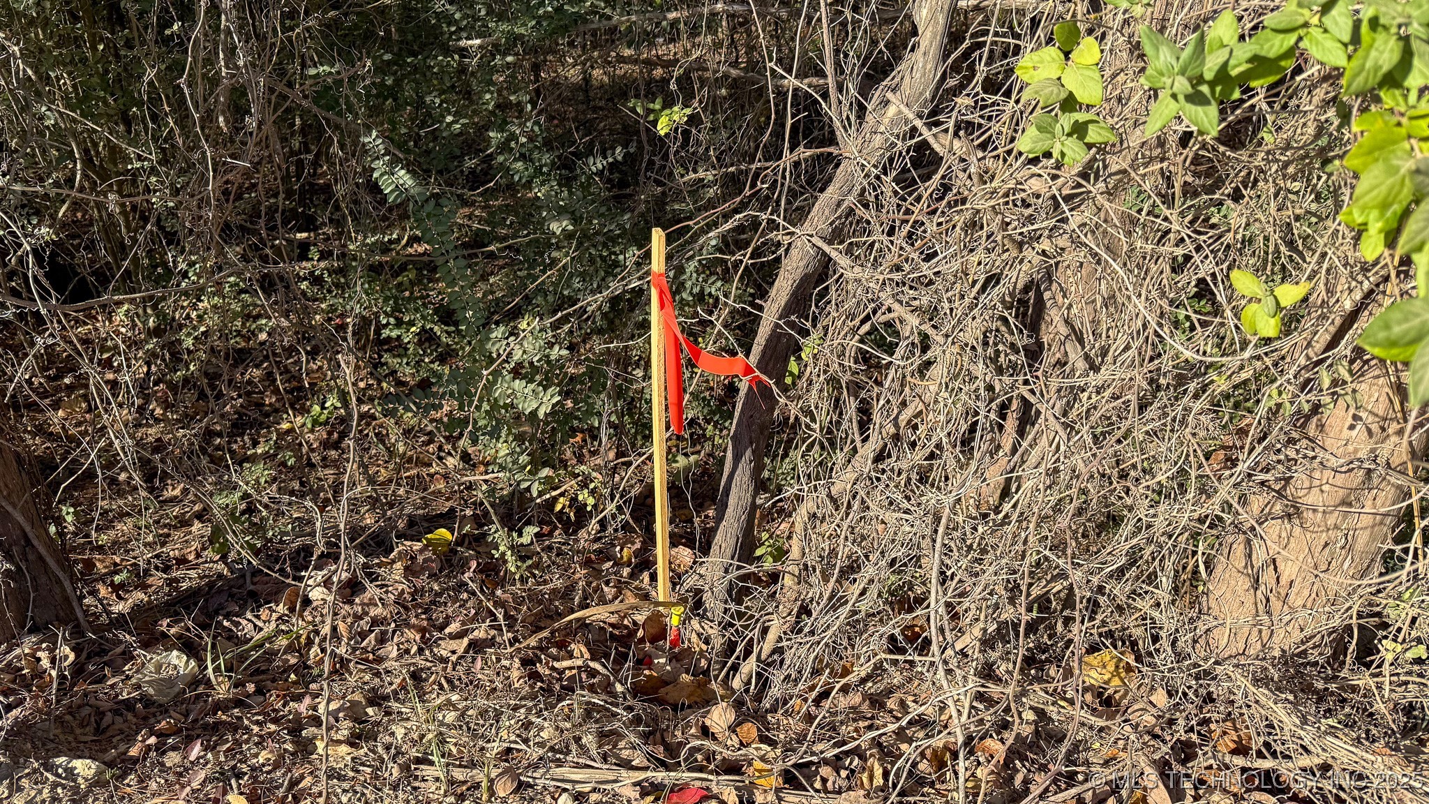 S 75th Street East Property Photo 16