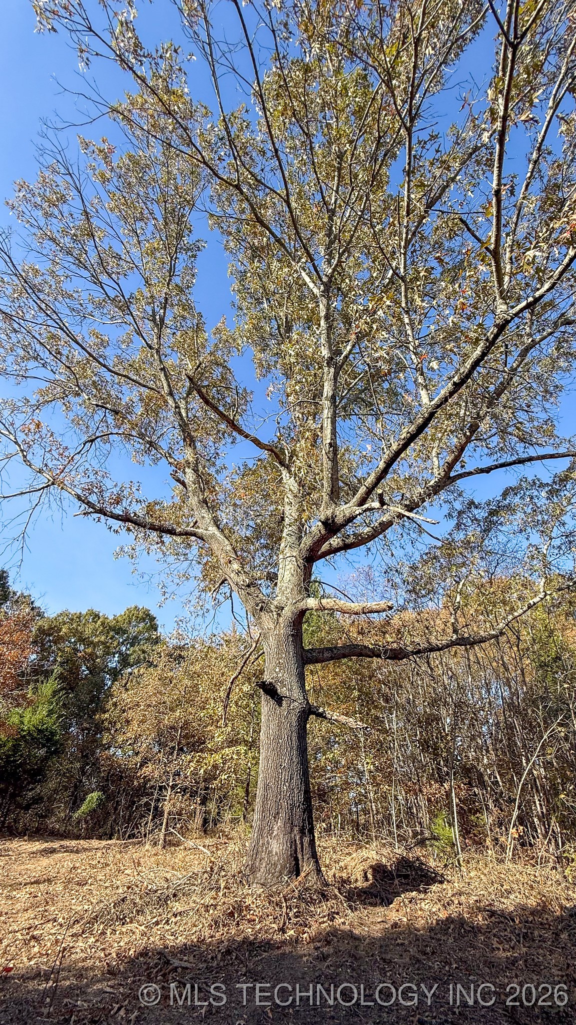 N 4610 Road Property Photo 56