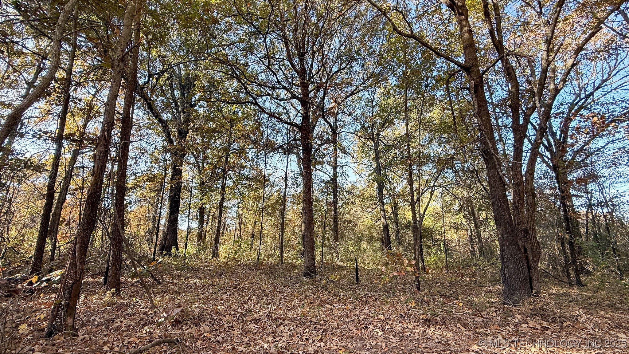 N 4610 Road Property Photo 60