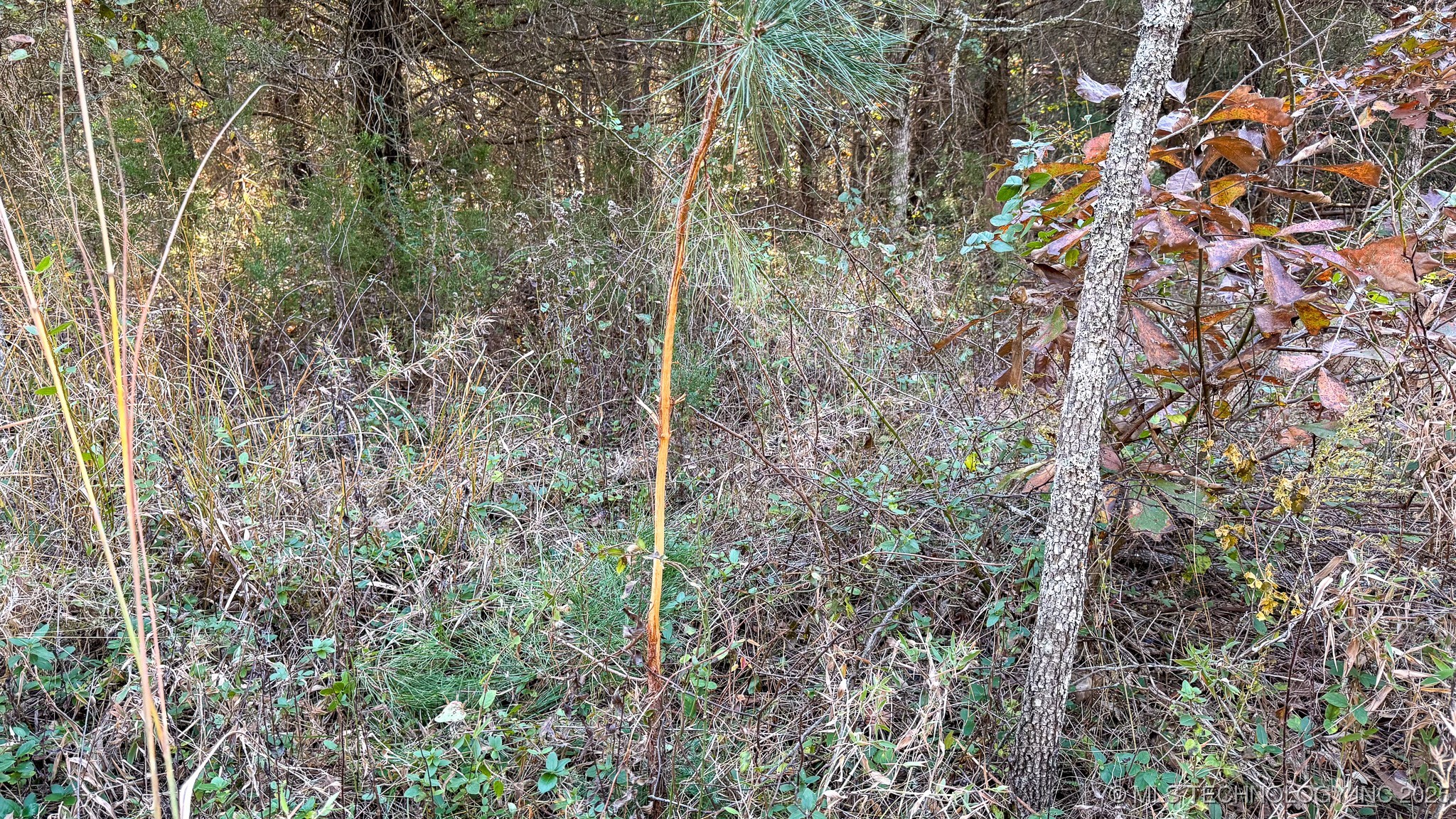 N 4610 Road Property Photo 78