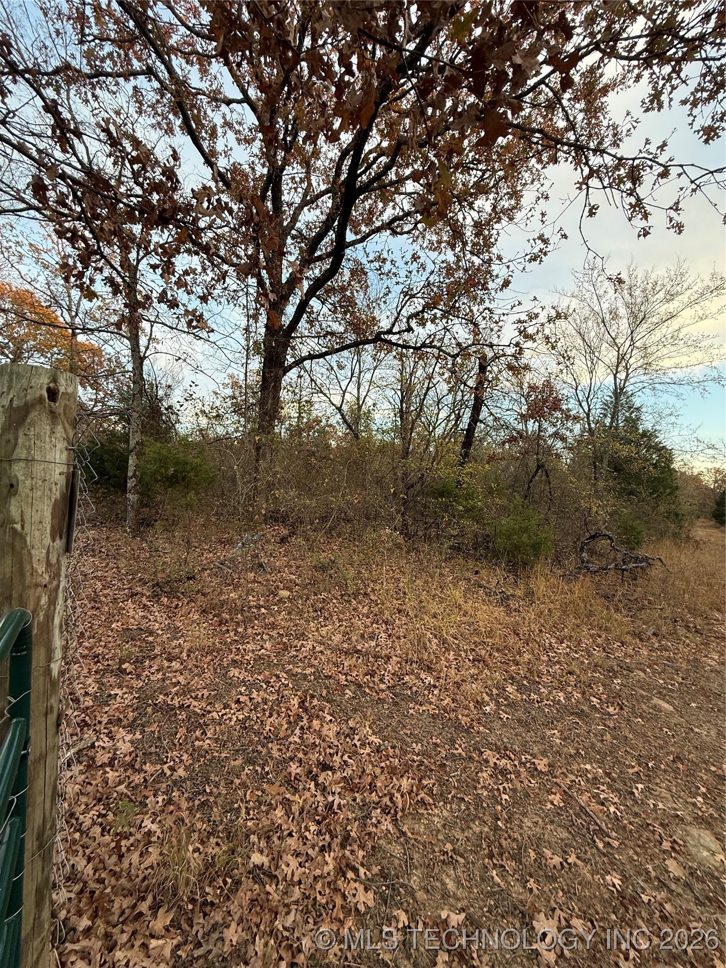 Fig Road Property Photo 3