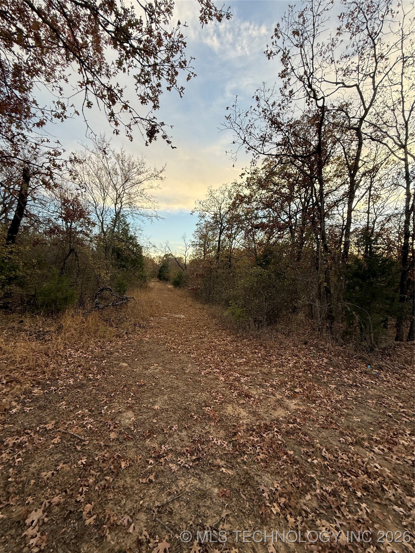 Fig Road Property Photo 4