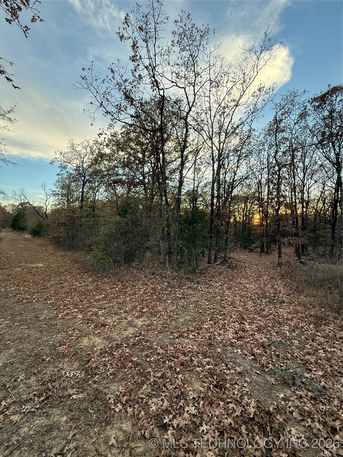 Fig Road Property Photo 5