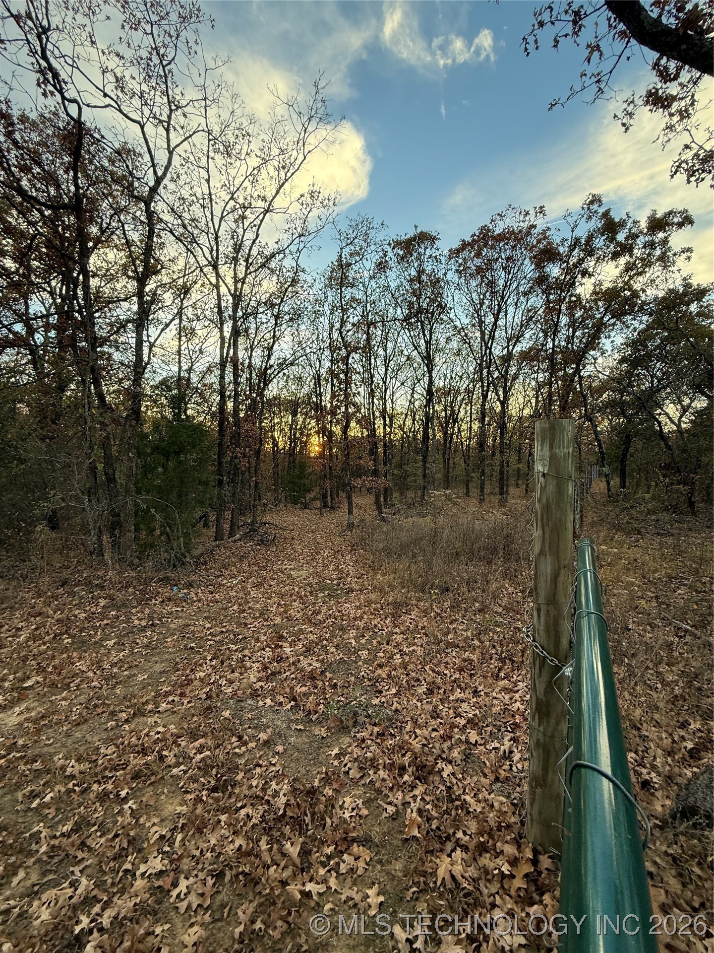 Fig Road Property Photo 6