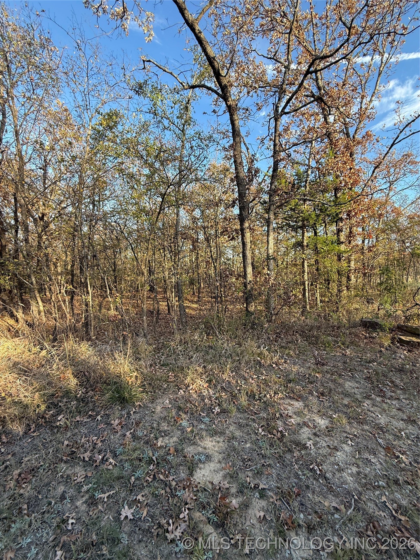 Fig Road Property Photo 8