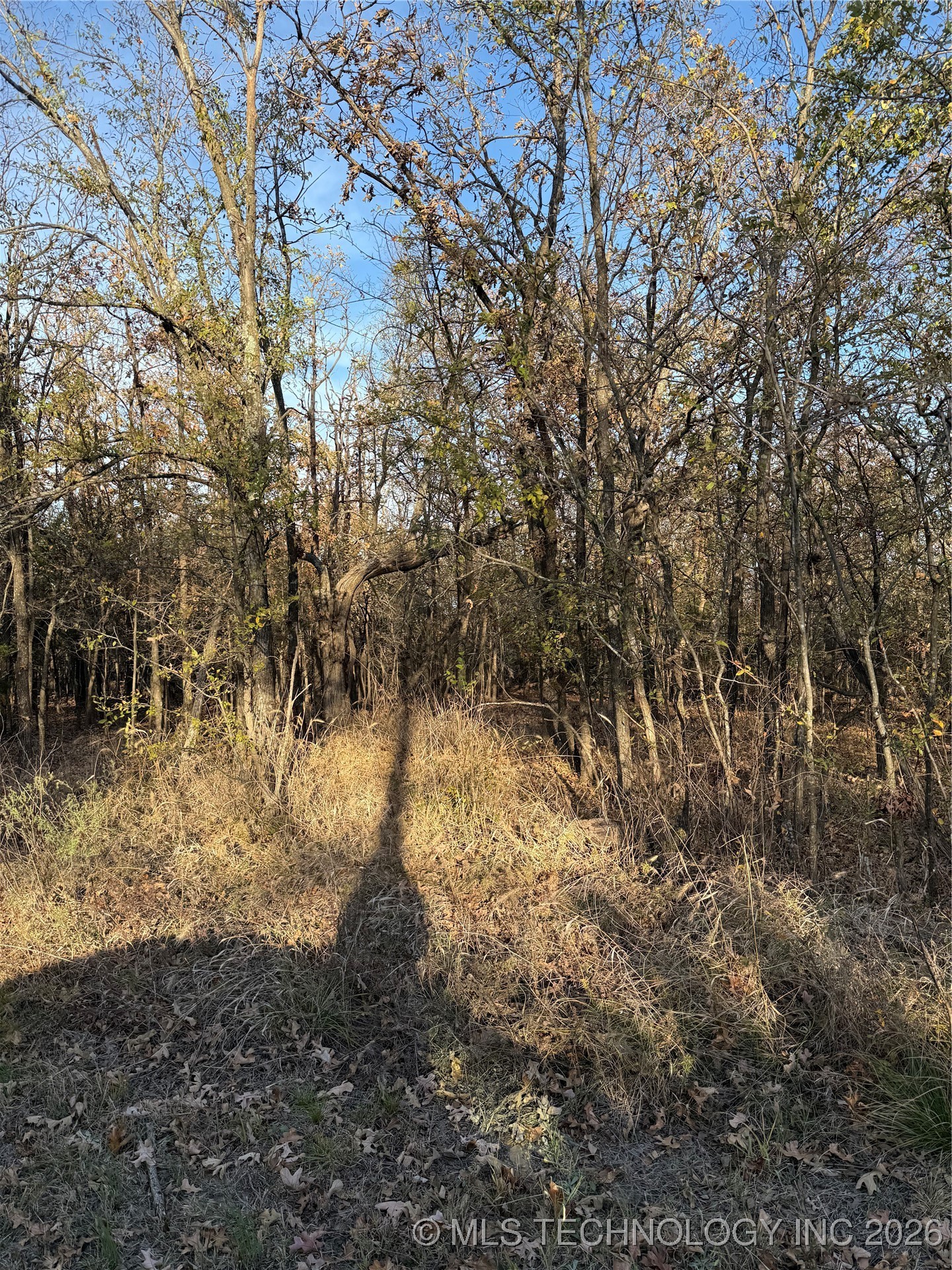 Fig Road Property Photo 9