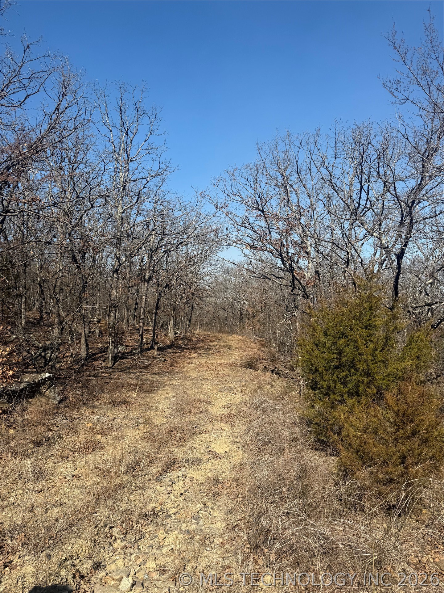 Fig Road Property Photo 10