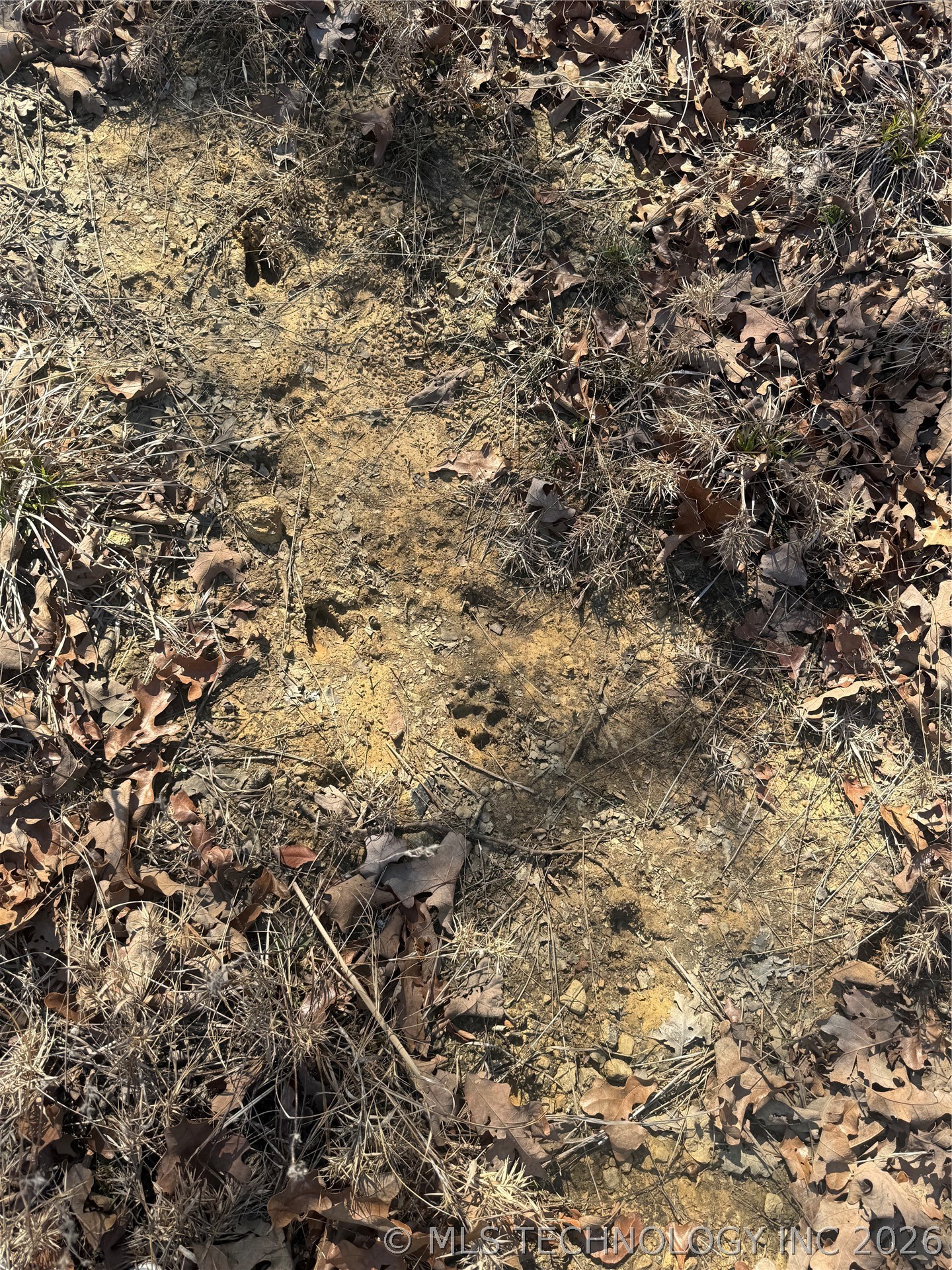 Fig Road Property Photo 11