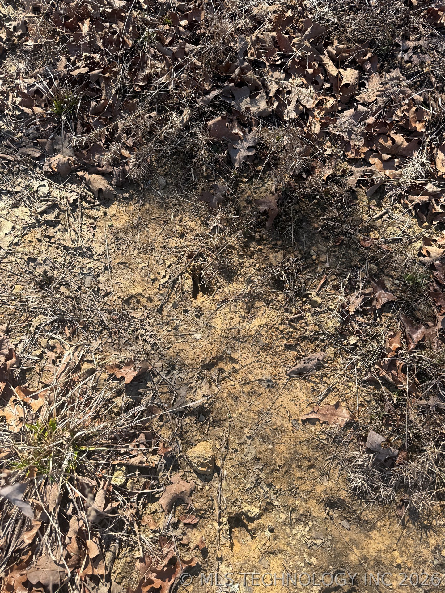 Fig Road Property Photo 12