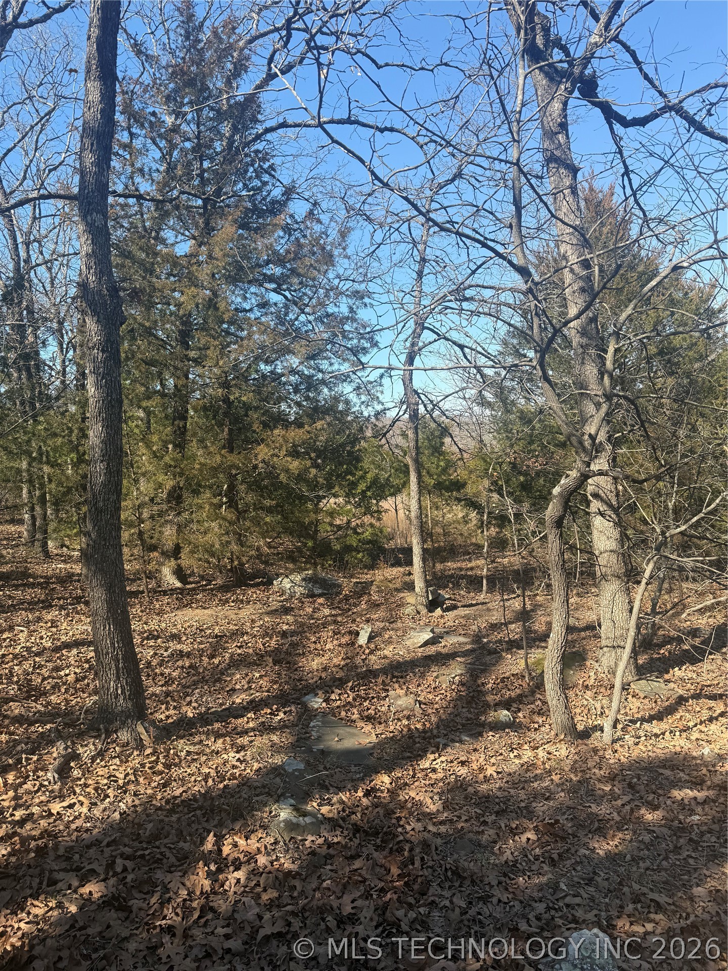 Fig Road Property Photo 13